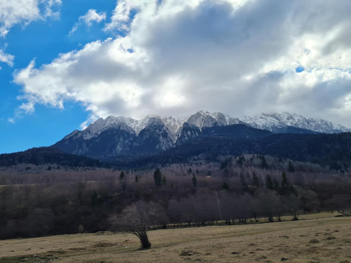 Pensiunea Kyfana Zărneşti Eksteriør bilde