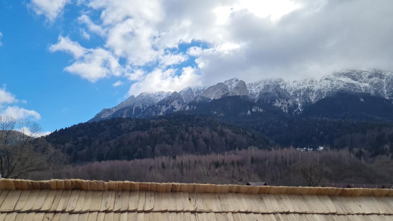 Pensiunea Kyfana Zărneşti Eksteriør bilde
