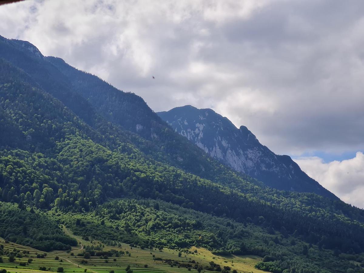 Pensiunea Kyfana Zărneşti Eksteriør bilde